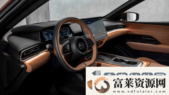 挑战特斯拉Model