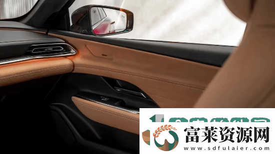 挑战特斯拉Model