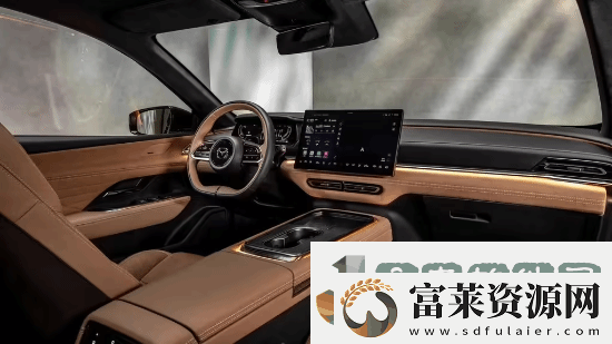 挑战特斯拉Model