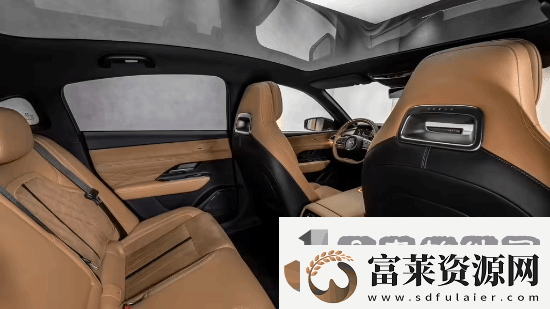 挑战特斯拉Model