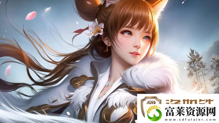一级理论和二级理论有什么区别