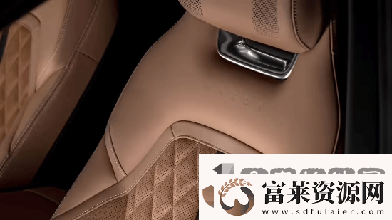 挑战特斯拉Model