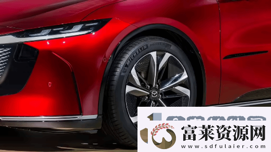 挑战特斯拉Model