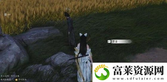 燕云十六声遗失的资金任务攻略指南