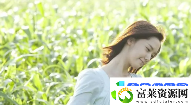 免费网站在线观看人数在哪省