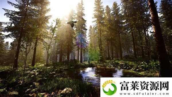 森林之子1.0正式版控制台代码有哪些