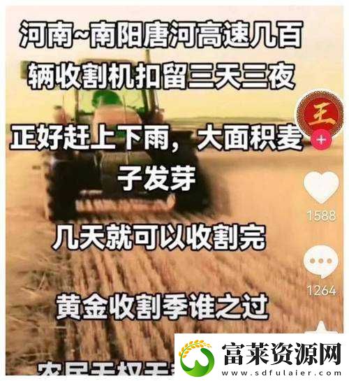麦子被抵押