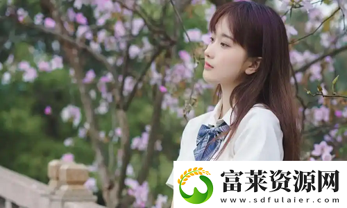 8848高清电影电视剧免费看