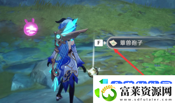 原神蕈兽孢子怎么获得