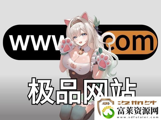 成品动漫网站入口网页版