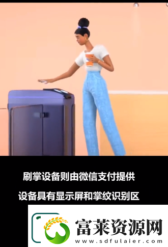 微信怎么刷掌支付