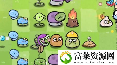 怎么玩