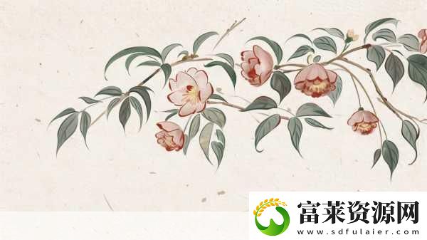 精品卡1卡二卡三国色天香