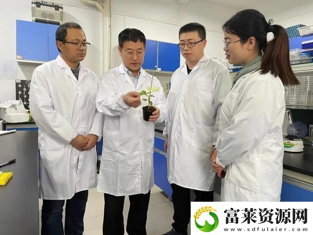 奇闻!人畜共舞CROPROATIO