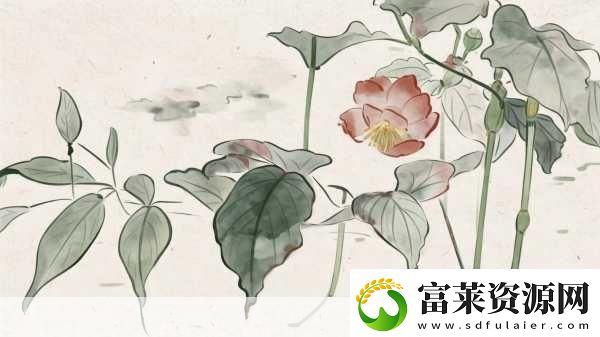 精品卡1卡二卡三国色天香