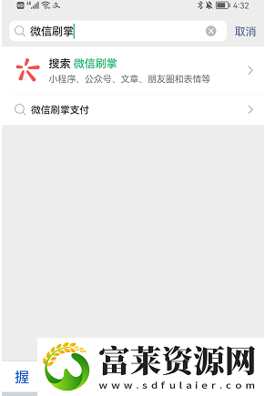 微信怎么刷掌支付