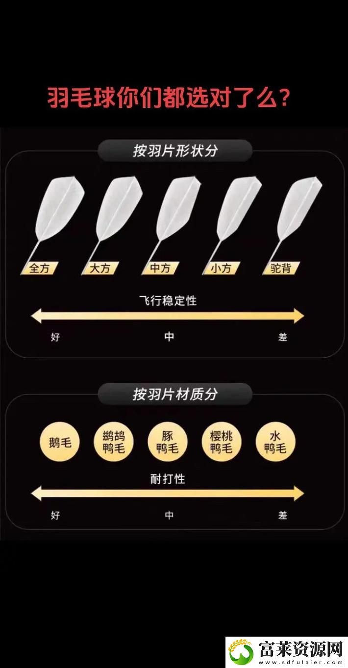揭示AAAA级毛和AAAA的区别