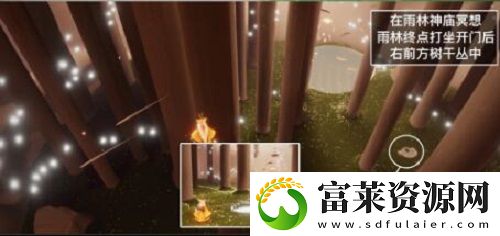 光遇2.23每日任务是什么