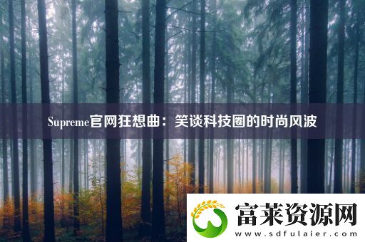 Supreme官网狂想曲