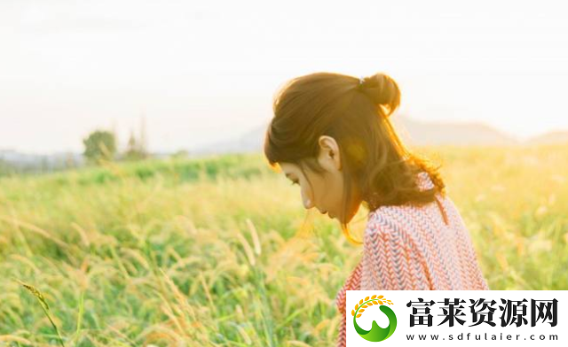 最近最好的2019中文