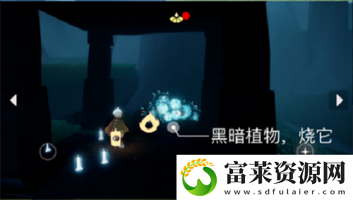 光遇3.2每日任务是什么