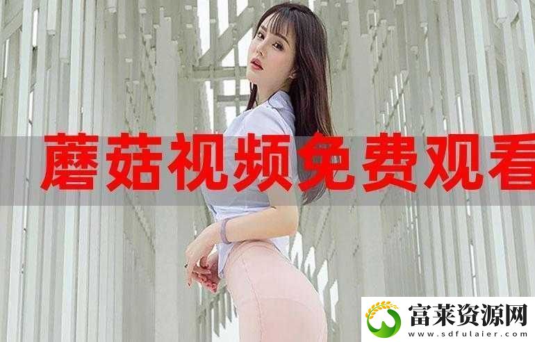 片多多视频观看高清在线