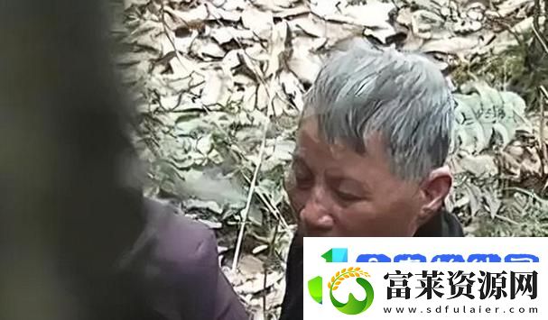 探索生命的哲学
