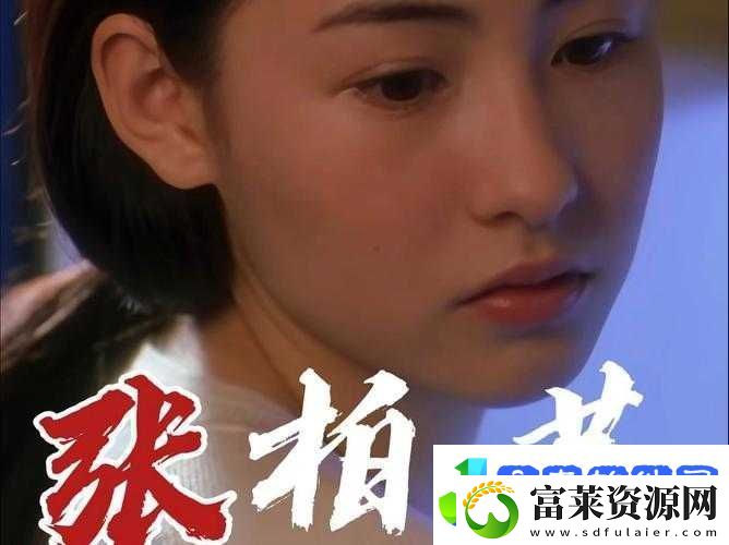 张柏芝电脑维修录像大全