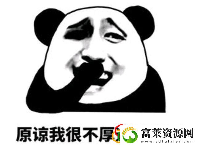 dnf打字套