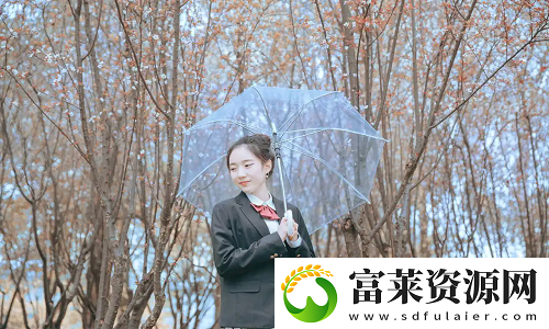 91网站的全景揭秘