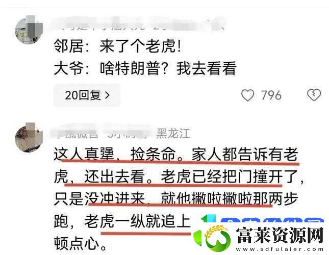 完达山1号东北虎进村背后