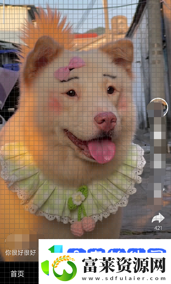抖音ai绘画照片怎么弄