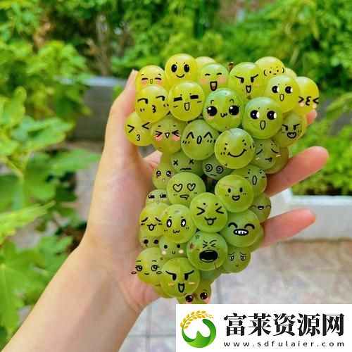 “吃黄葡萄