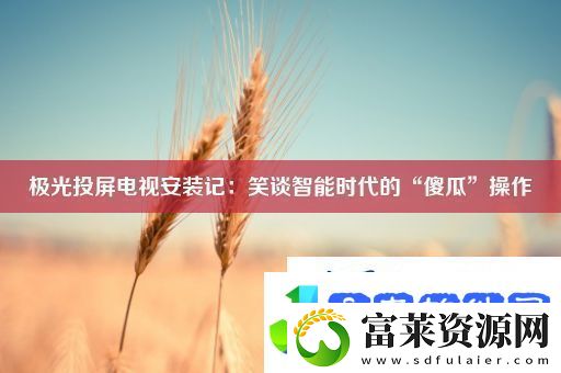 极光投屏电视安装记