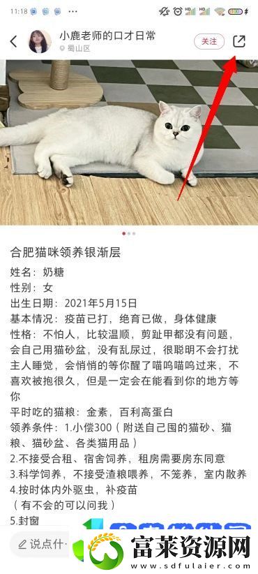 小红书图片无水印保存方法