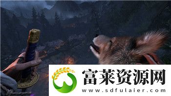 为了吾王2破碎的镜子怎么用