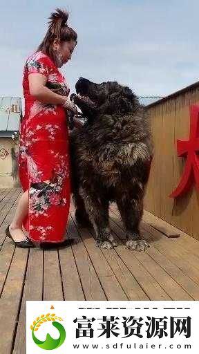 亚洲毛片人与兽精品