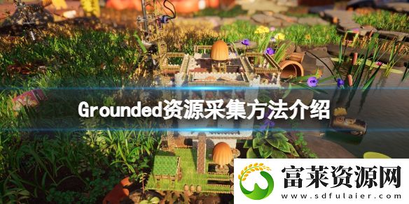 禁闭求生怎么采集资源