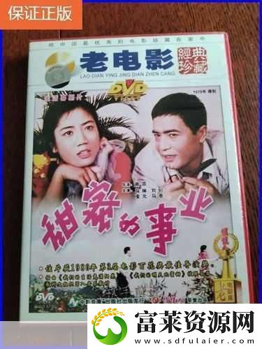 探寻高清DVD碟片生活片