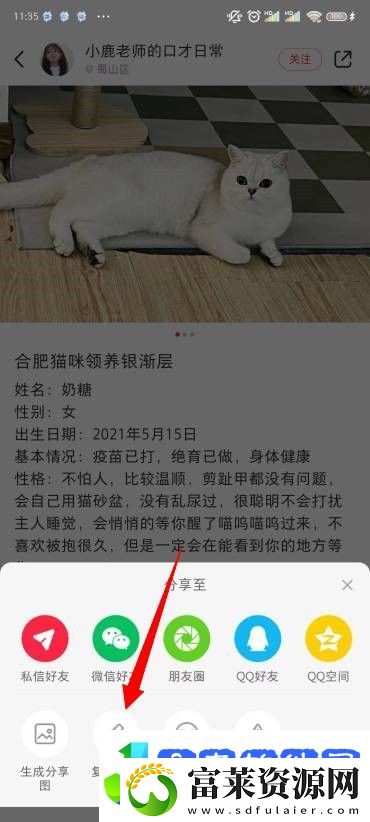 小红书图片无水印保存方法