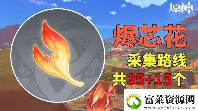 原神烬芯花采集路线