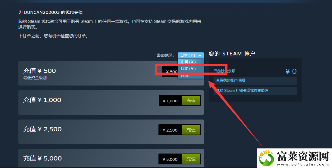 steam;Dungeonborne;下载找不到