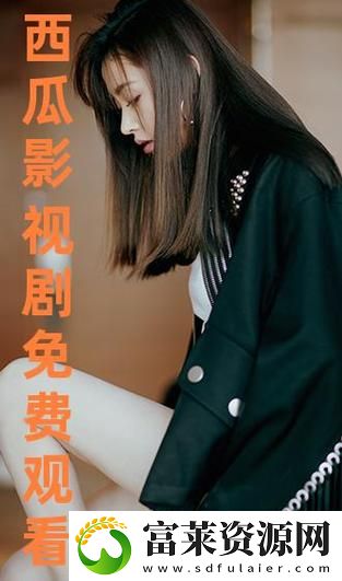 畅享电影盛宴