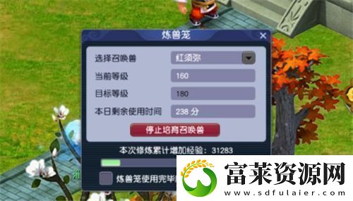 梦幻西游宝宝如何升级
