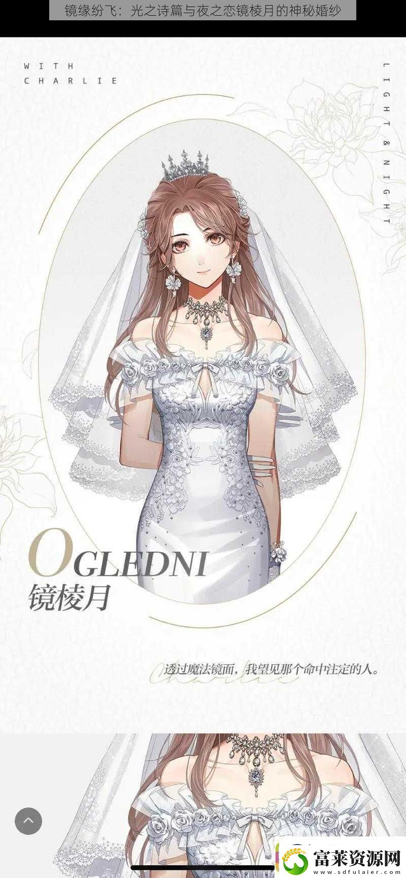 镜缘纷飞