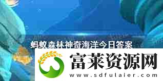 糖果蟹名字由来解析