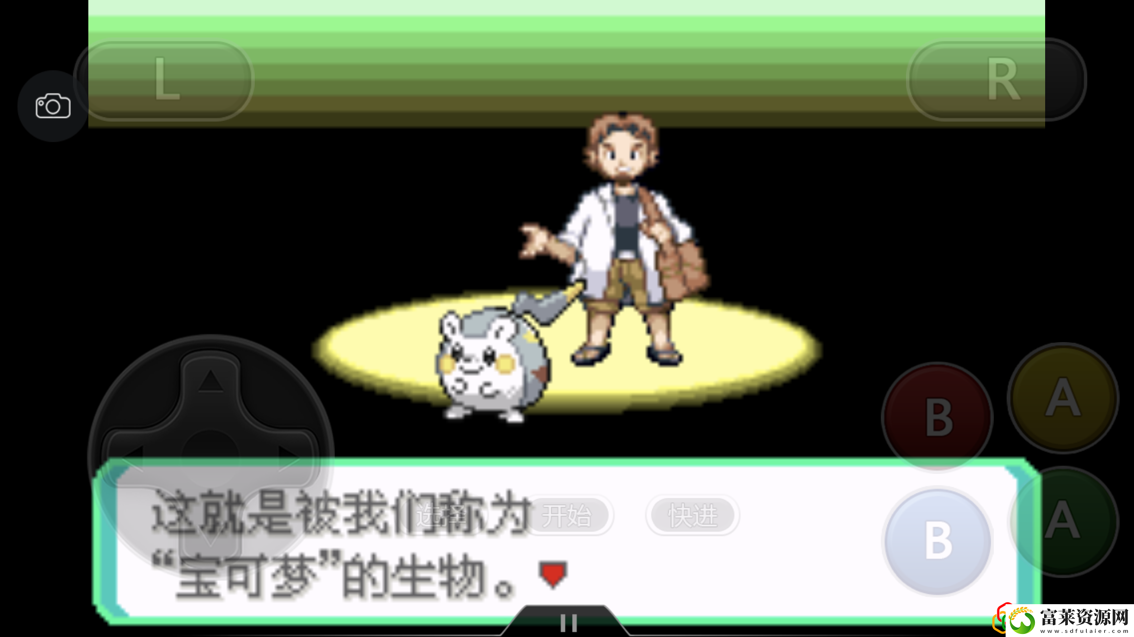 究极绿宝石4一周目最强阵容