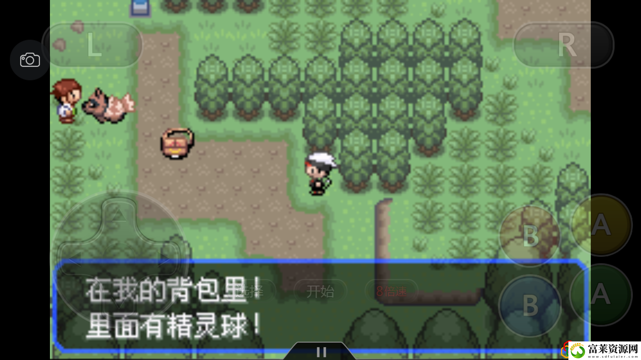 究极绿宝石4一周目最强阵容