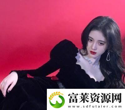 韩国理论大全引发热议