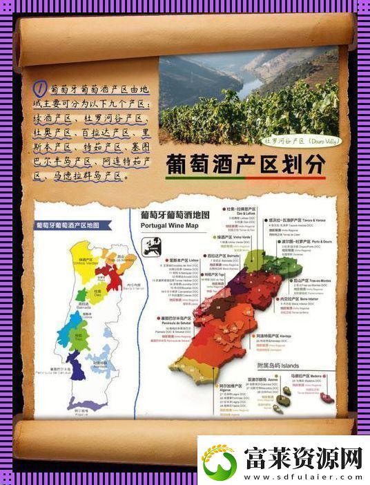“一产区与二产区笑谈科技界的‘高贵’与‘平民’”软件教程玩法